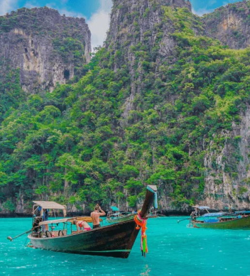 Polygon Price Chart & History