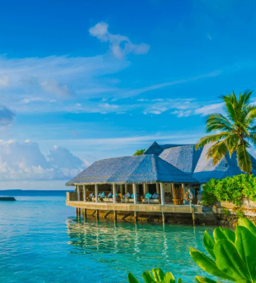 Polygon Price in USD